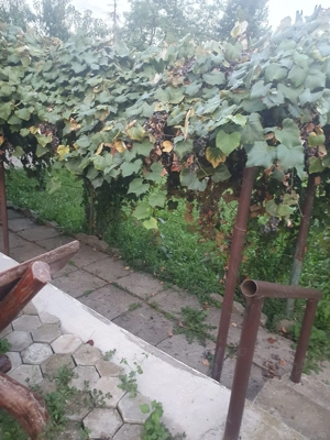 Vand casa Reșița  - imagine 9