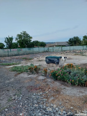 casă de vânzare  - imagine 4 casă de vânzare  - imagine 4