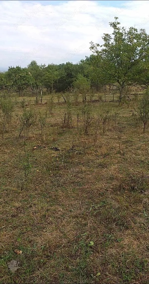 vanzare teren intravilan  - imagine 4