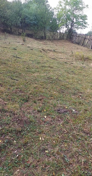 vanzare teren intravilan  - imagine 2