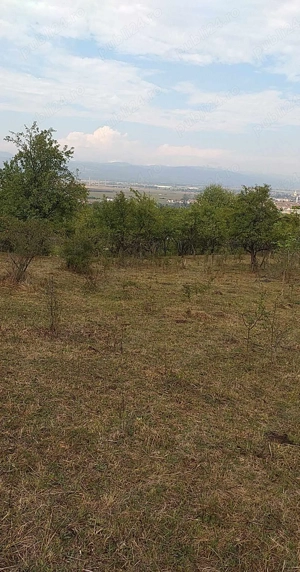 vanzare teren intravilan