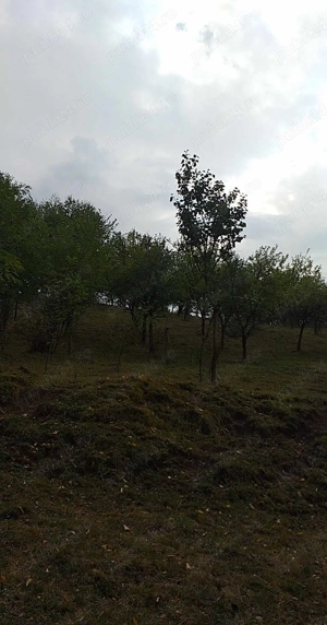 vanzare teren intravilan  - imagine 5