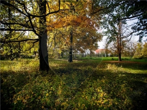 Domeniu Baronial de vanzare in localitatea CIL , Judet Arad - imagine 2