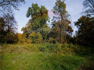 Domeniu Baronial de vanzare in localitatea CIL , Judet Arad - imagine 8