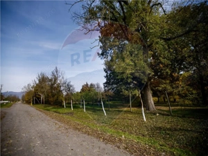 Domeniu Baronial de vanzare in localitatea CIL , Judet Arad - imagine 3