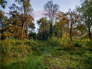 Domeniu Baronial de vanzare in localitatea CIL , Judet Arad - imagine 9