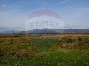 Domeniu Baronial de vanzare in localitatea CIL , Judet Arad - imagine 12