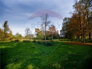 Domeniu Baronial de vanzare in localitatea CIL , Judet Arad - imagine 6