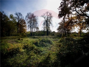 Domeniu Baronial de vanzare in localitatea CIL , Judet Arad - imagine 7