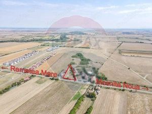 Teren 2,492mp Bucovat (Remetea Mare) / DN principal - imagine 3