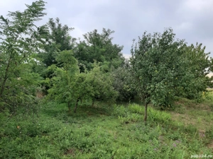 vănd casă Iratoșu - imagine 4 vănd casă Iratoșu - imagine 4