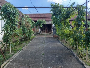 Naidas, Casa 7 Incaperi, 842mp Teren, Pret Negociabil - imagine 17