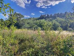 Naidas, Casa 7 Incaperi, 842mp Teren, Pret Negociabil - imagine 20