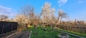 Unique Investment Opportunity   Central Prejmer Property with Orchard  - imagine 6