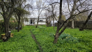 Unique Investment Opportunity   Central Prejmer Property with Orchard  - imagine 7