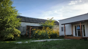 Unique Investment Opportunity   Central Prejmer Property with Orchard  - imagine 9