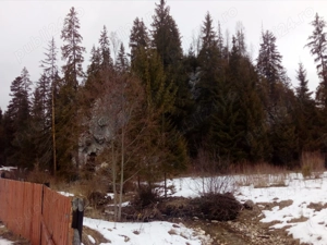 Oportunitate unică de investiție într-un colț de paradis! - imagine 4