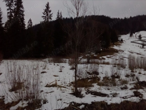 Oportunitate unică de investiție într-un colț de paradis! - imagine 3