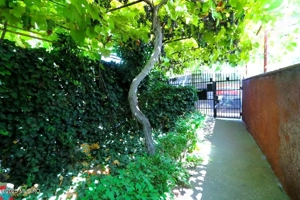 Palazu Mare - Strada Gheorghe Baritiu 16, casa cu teren de 680 mp! - imagine 18