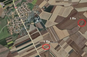 Teren extravilan, 2 hecatre, Dorobantu Constanta