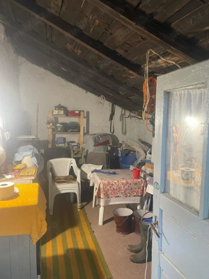 Teren cu casa in comuna Iepuresti, judetul Giurgiu - imagine 7