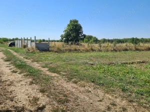Teren intravilan Baicoi Prahova 5000mp - imagine 4