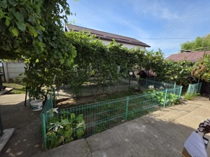 Casa 127 mp + teren 1800 mp, foisor si iaz - Dragasani - imagine 9