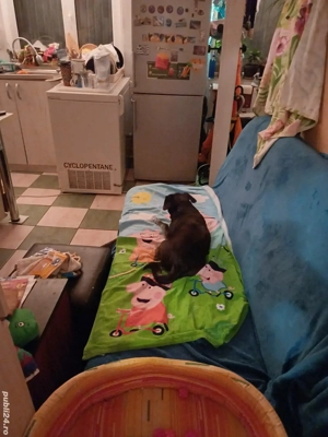  Vand casa 2 camere zona Petre Ispirescu - imagine 3