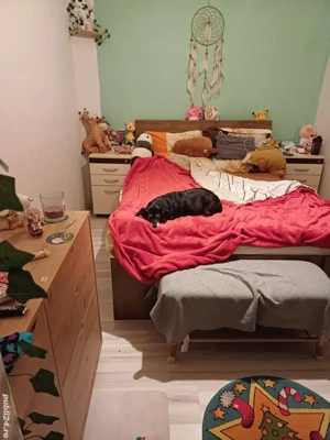  Vand casa 2 camere zona Petre Ispirescu - imagine 4