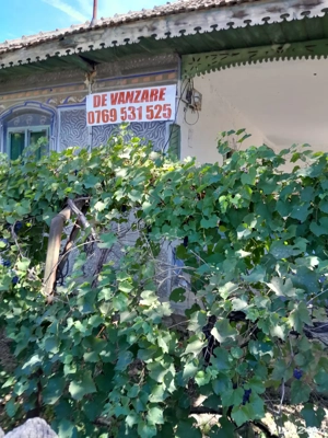 Vand CASA +  2 Terenuri Intravilane