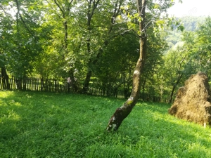 Teren Secaria Prahova - imagine 6