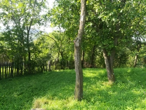 Teren Secaria Prahova - imagine 4