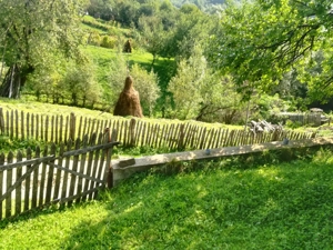 Teren Secaria Prahova - imagine 10