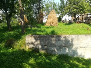 Teren Secaria Prahova - imagine 7