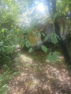 Teren de 1113 mp si casa batraneasca in comuna Mihaesti județul Valcea - imagine 3