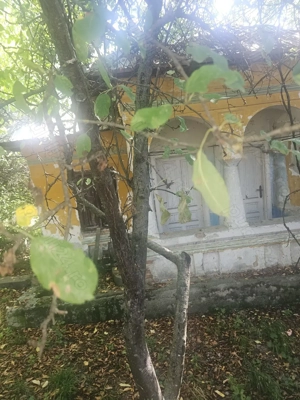 Teren de 1113 mp si casa batraneasca in comuna Mihaesti județul Valcea - imagine 2