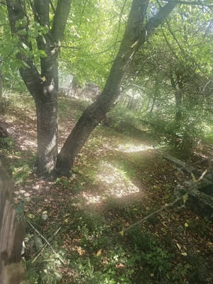 Teren de 1113 mp si casa batraneasca in comuna Mihaesti județul Valcea - imagine 5