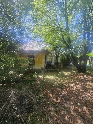 Teren de 1113 mp si casa batraneasca in comuna Mihaesti județul Valcea - imagine 7