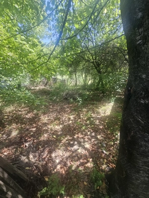 Teren de 1113 mp si casa batraneasca in comuna Mihaesti județul Valcea - imagine 4