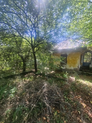 Teren de 1113 mp si casa batraneasca in comuna Mihaesti județul Valcea - imagine 6