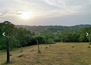 2 Casa padure  + 4800 teren langa Focsani