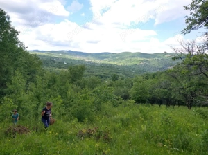 2 Casa padure  + 4800 teren langa Focsani - imagine 3