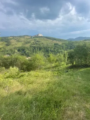 Vand teren pentru cabana in Ampoita