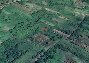 Vand teren pentru cabana in Ampoita - imagine 2