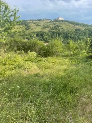 Vand teren pentru cabana in Ampoita - imagine 3