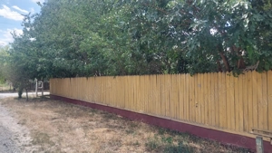 Vând teren cu casă bătrânească,comuna Manasia,Ialomița - imagine 2 Vând teren cu casă bătrânească,comuna Manasia,Ialomița - imagine 2