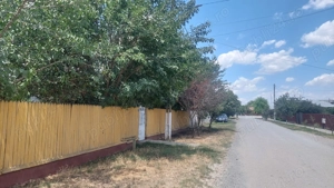 Vând teren cu casă bătrânească,comuna Manasia,Ialomița - imagine 3 Vând teren cu casă bătrânească,comuna Manasia,Ialomița - imagine 3