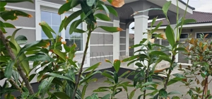 Sanmihaiul Roman- teren generos- personalizare interioara