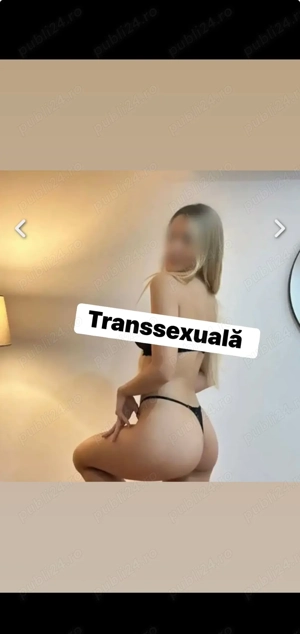 Aly ( citește cu atenție anunțul de mai jos)