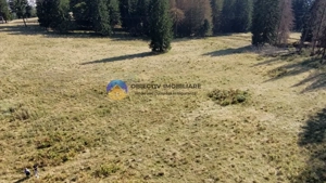 Teren de vânzare 5000 mp – Piatra Neamț - imagine 5